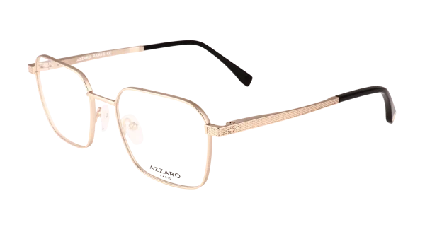AZ31256 C01