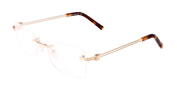 PC71096 C01