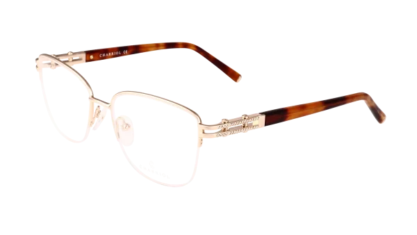 PC71097 C01