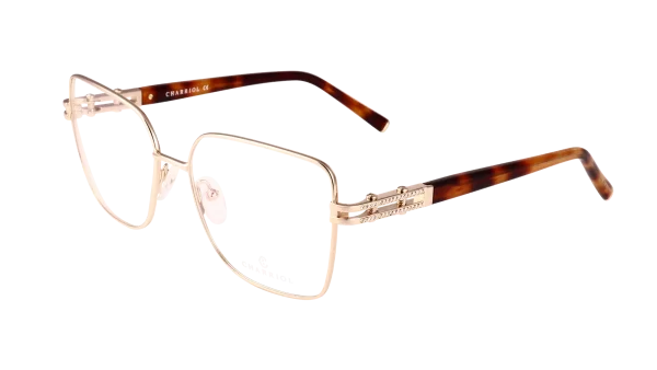 PC71098 C01