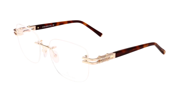 PC71099 C01