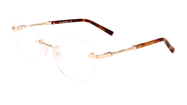 PC71101 C01