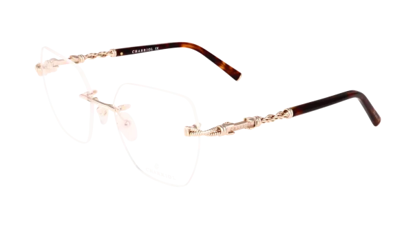 PC71110 C01