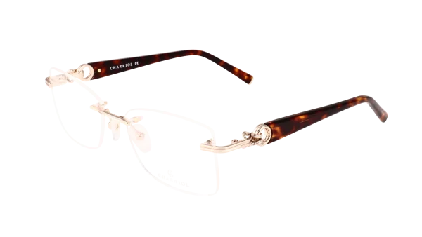 PC71113 C01