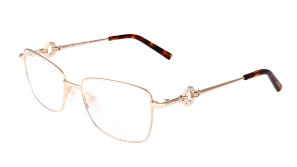 PC71118 C01