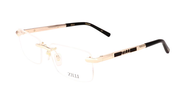ZI60129 C01