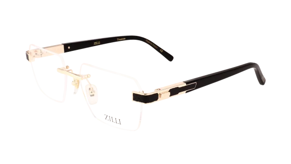 ZI60130 C01