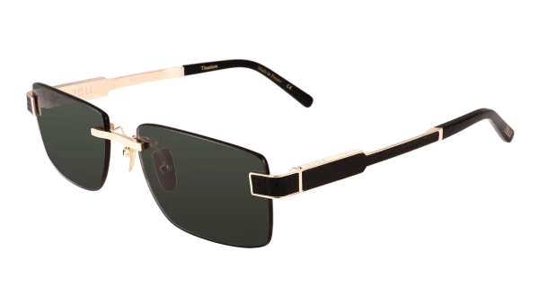 ZI65143 C01 - Ulysse